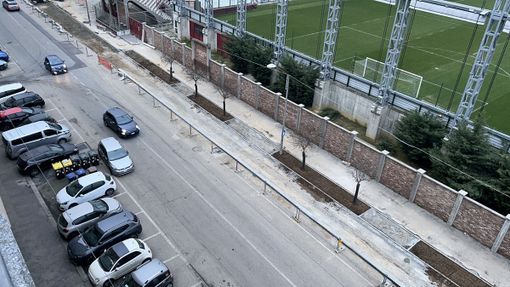 Alberi caduti o rovinati, aiuole vuote, degrado: via Filadelfia sempre più sporca e meno verde Alberi caduti o rovinati, aiuole vuote, degrado: via Filadelfia sempre più sporca e meno verde