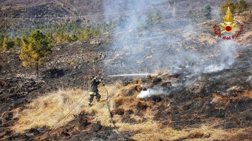 Givoletto, prosegue l'opera di spegnimento degli incendi da parte dei pompieri (FOTO e VIDEO)