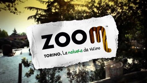 Zoom Torino riapre sabato 10 marzo Zoom Torino riapre sabato 10 marzo