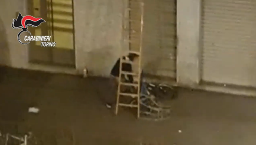 Scala e corda per rubare una bicicletta da 1000 euro: preso un ladro-acrobata