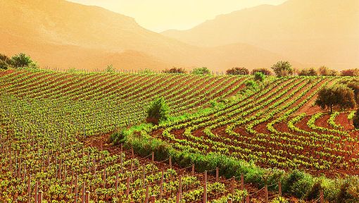 Accatastamento dei fabbricati rurali: 6 sportelli dell'Agenzia delle Entrate tra Torino e Cuneo