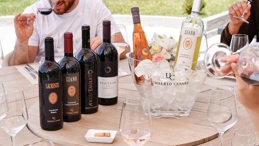 Degustazione Vini: le proposte suggestive della Umberto Cesari