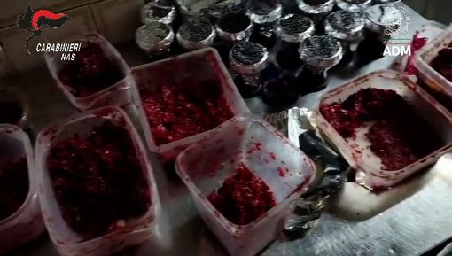 Melassa di contrabbando in alcuni locali di Torino