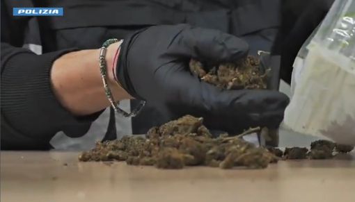 Maxi blitz contro droga e armi: a Torino scattano 111 arresti e quasi 300 deferimenti Maxi blitz contro droga e armi: a Torino scattano 111 arresti e quasi 300 deferimenti