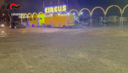 Condizioni di lavoro umilianti nel circo, gestore sotto accusa per caporalato Condizioni di lavoro umilianti nel circo, gestore sotto accusa per caporalato