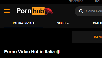 Torino è la terza città in italia per contatti al sito a luci rosse Pornhub nel 2023