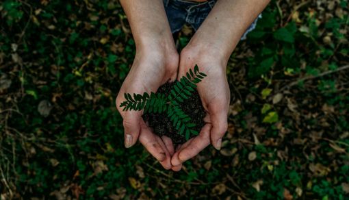 Noah Buscher- unsplash
