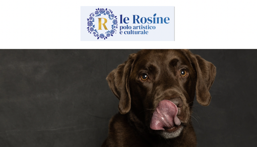 A Torino un corso per comprendere il cane e imparare il suo linguaggio A Torino un corso per comprendere il cane e imparare il suo linguaggio