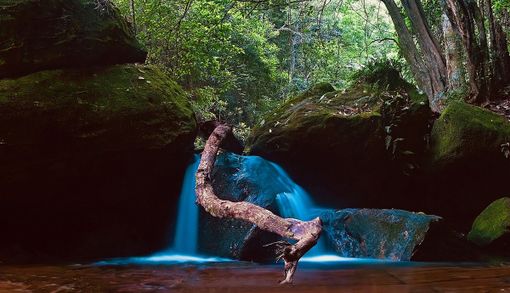 Torinodanza 2020, Cristina Kristal Rizzo presenta in prima nazionale il suo nuovo &quot;Toccare the White Dance&quot;