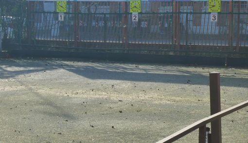 A Parella, aperto il bando per le bocciofile di via Carrera e corso Telesio