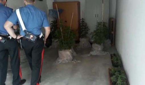 Ferragosto sicuro in città e nei Comuni turistici: tre persone arrestate per droga [VIDEO]
