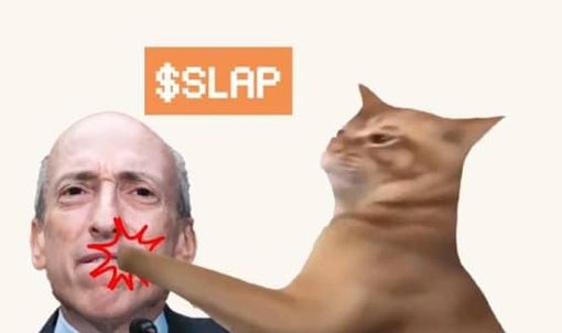 Guida rapida per acquistare CatSlap (SLAP): la nuova meme coin di tendenza Guida rapida per acquistare CatSlap (SLAP): la nuova meme coin di tendenza