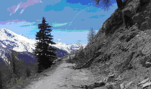 Festa dël Piemont domenica 15 Luglio al Colle dell'Assietta