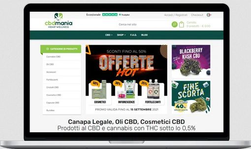 Perché avere un sito web? L’importanza della presenza online