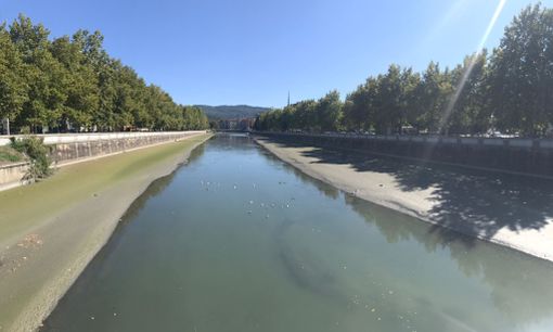 quel che resta della dora quel che resta della dora