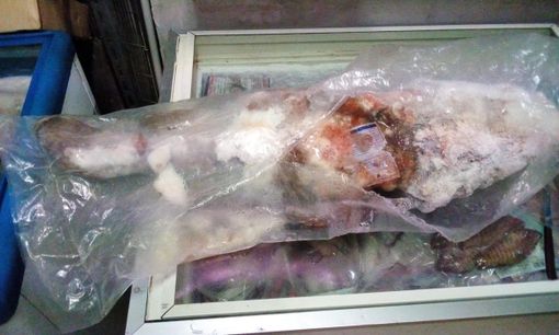 Alimenti in cattivo stato di conservazione: quasi 25 mila euro di multa e sospensione dell'attività per un negozio di corso Vittorio Emanuele