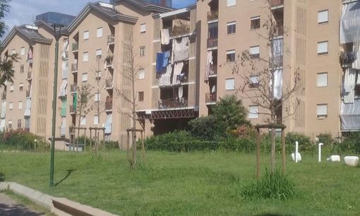 giardino
