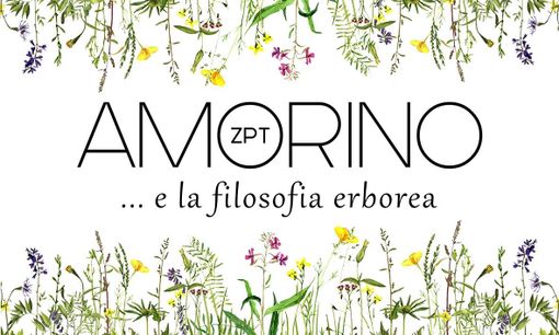 Parrucchiere erboreo certificato, trattamenti di bellezza secondo natura Parrucchiere erboreo certificato, trattamenti di bellezza secondo natura