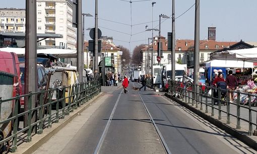 A Porta Palazzo Repopp diventa stabile e si amplia