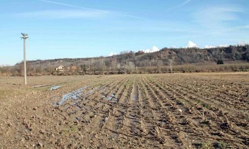 Confagricoltura Piemonte, appello alla Regione per scongiurare la siccità