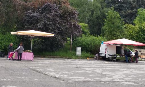 Il mercato di stamattina in piazza Avis a Pinerolo (foto di Cinzia Consolati)