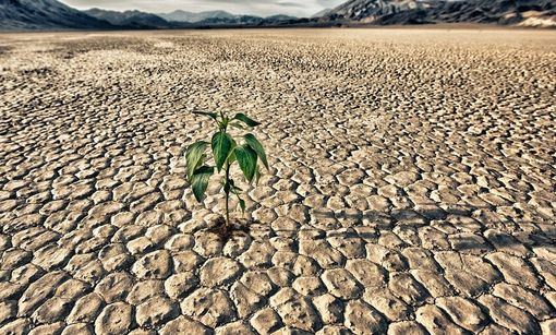 Crisi idrica: Pinerolo emana l’ordinanza per limitare l’uso dell’acqua potabile Crisi idrica: Pinerolo emana l’ordinanza per limitare l’uso dell’acqua potabile