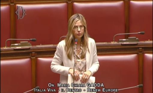 Peste suina africana, Gadda (Iv): "Serve cambio di passo. Per il Governo sembra che l’emergenza sia iniziata oggi" Peste suina africana, Gadda (Iv): "Serve cambio di passo. Per il Governo sembra che l’emergenza sia iniziata oggi"