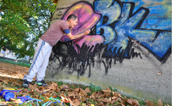 Giornata internazionale della Disabilità, evento alla biblioteca di Chieri