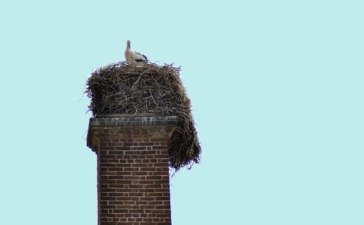 (Foto di Cinzia Consolati)