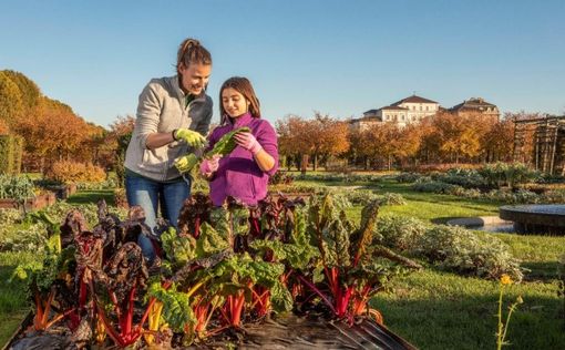 giardini della reggia giardini della reggia