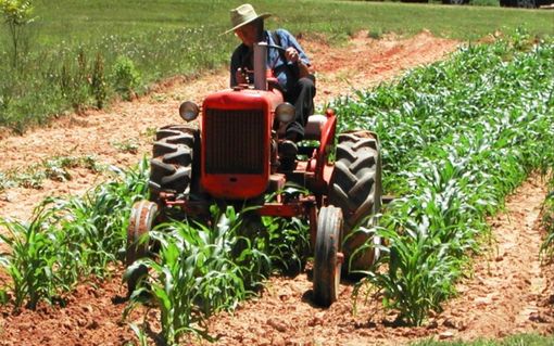 agricoltore - foto d'archivio