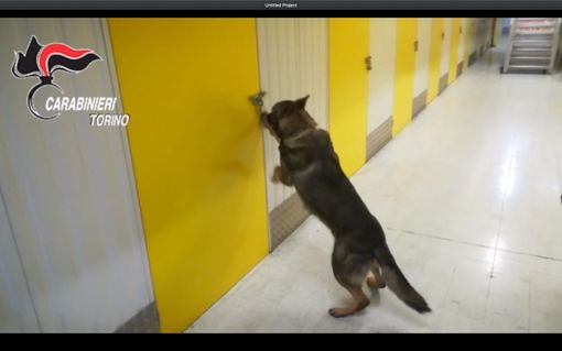 Nella cassetta di deposito privato c'era un tesoro in contanti e lingotti d'oro: arrestato un imprenditore (FOTO e VIDEO)