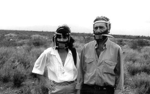 Sabato 20 gennaio al Castello di Rivoli protagonisti opere e video di Maria Thereza Alves e Jimmie Durham Sabato 20 gennaio al Castello di Rivoli protagonisti opere e video di Maria Thereza Alves e Jimmie Durham