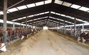 stalla - foto d'archivio