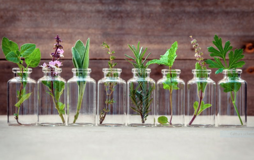 Viaggiare... a naso in Europa seguendo antiche Mappae