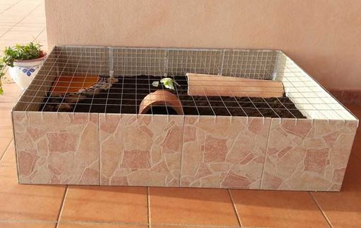 Linee guida per acquistare un terrario per tartarughe terrestri