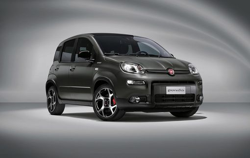 Arriva la Nuova Panda... E celebra i suoi primi 40 anni! Arriva la Nuova Panda... E celebra i suoi primi 40 anni!