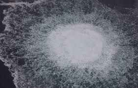 Polonia, preoccupazione per le truffe dei call center ucraini