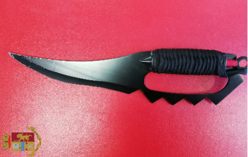 Arrestati durante un controllo due dominicani ricercati per un tentato omicidio a Mantova