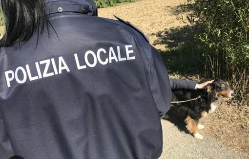 foto di archivio