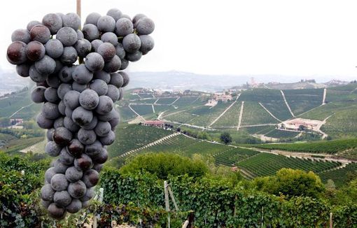 Il Piemonte è la 'Regione d'onore 2016' del Niaf