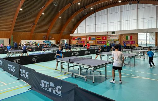 partita di ping pong partita di ping pong