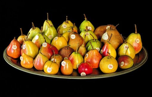 Sabato 24 settembre la Giornata Nazionale perAmore, perABIO: le pere più buone aiutano i bimbi in ospedale