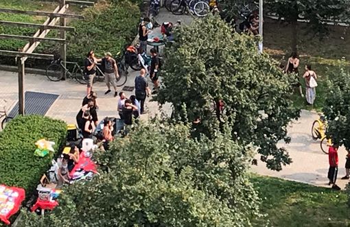 Giardini Madre Teresa, Alessi e Montaruli (Fdi) "Tra schiamazzi e bivacchi situazione inaccettabile" Giardini Madre Teresa, Alessi e Montaruli (Fdi) "Tra schiamazzi e bivacchi situazione inaccettabile"