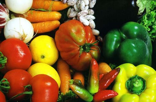 Il Consiglio regionale dice no al cibo sintetico