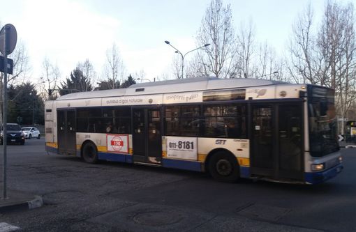 bus bus