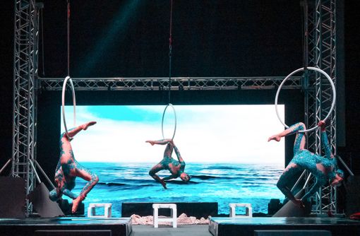 Mondiali di Aerial Sport: l'Italia vince con tre artiste della torinese Stardust Mondiali di Aerial Sport: l'Italia vince con tre artiste della torinese Stardust