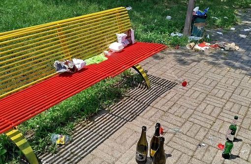 Moncalieri fa i conti con malamovida, vandalismo e rifiuti abbandonati