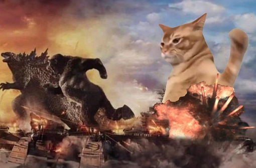 Come comprare la nuova meme coin Catslap Come comprare la nuova meme coin Catslap