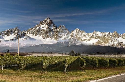 Sabato 17 marzo l'anteprima del circuito "Brindisi a Corte" a Palazzo Cisterna
